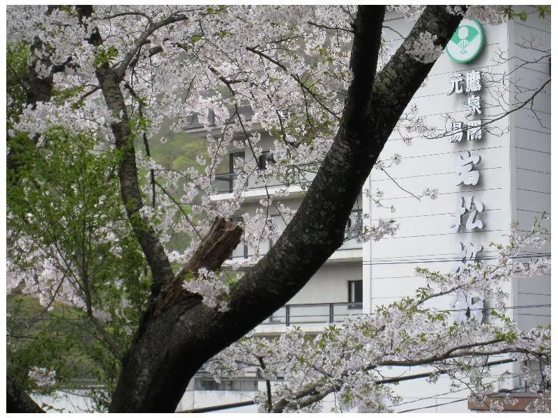 Iwamatsu Ryokan