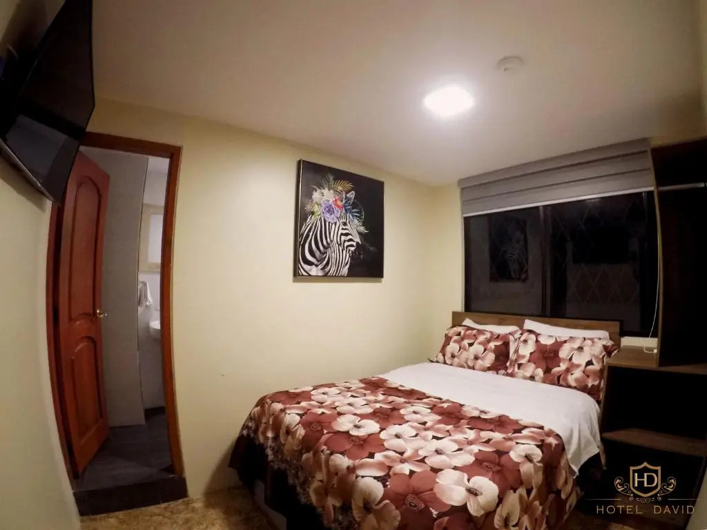 Standard Double room (full double bed)