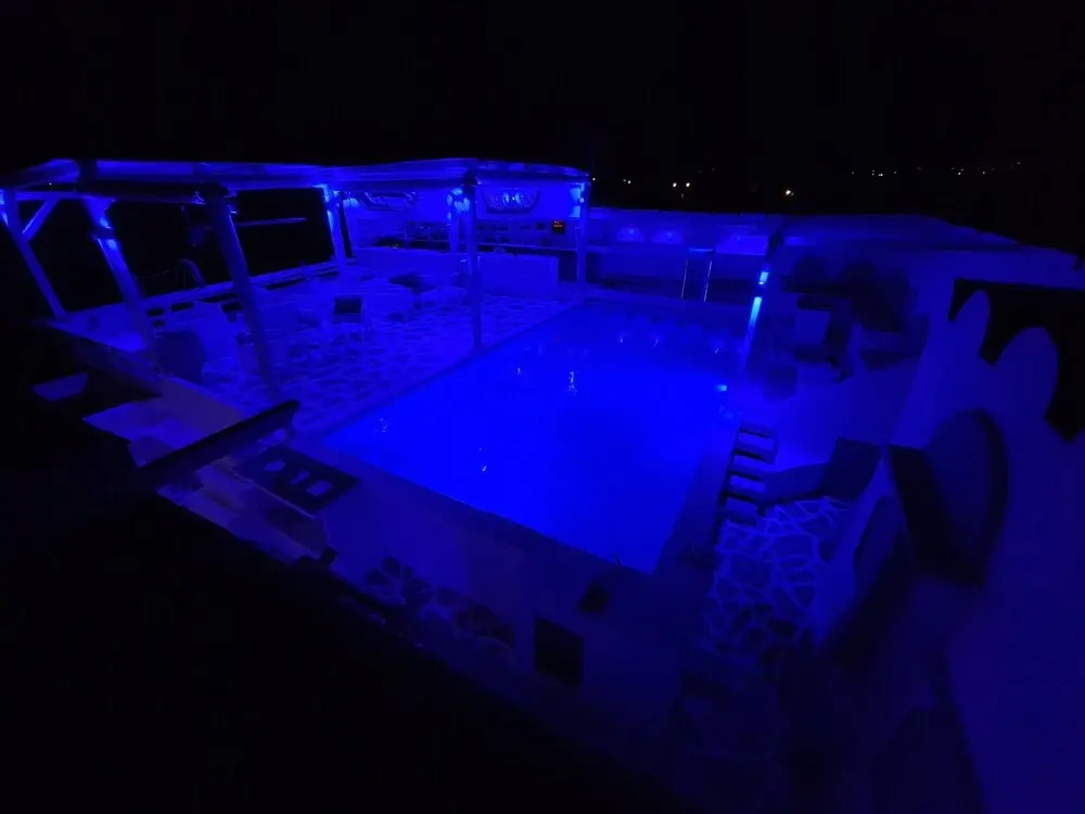 Nautilus