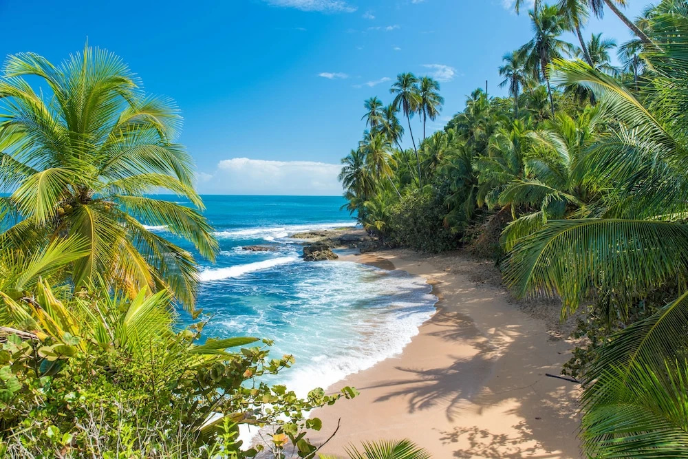 Beach & Waterfront