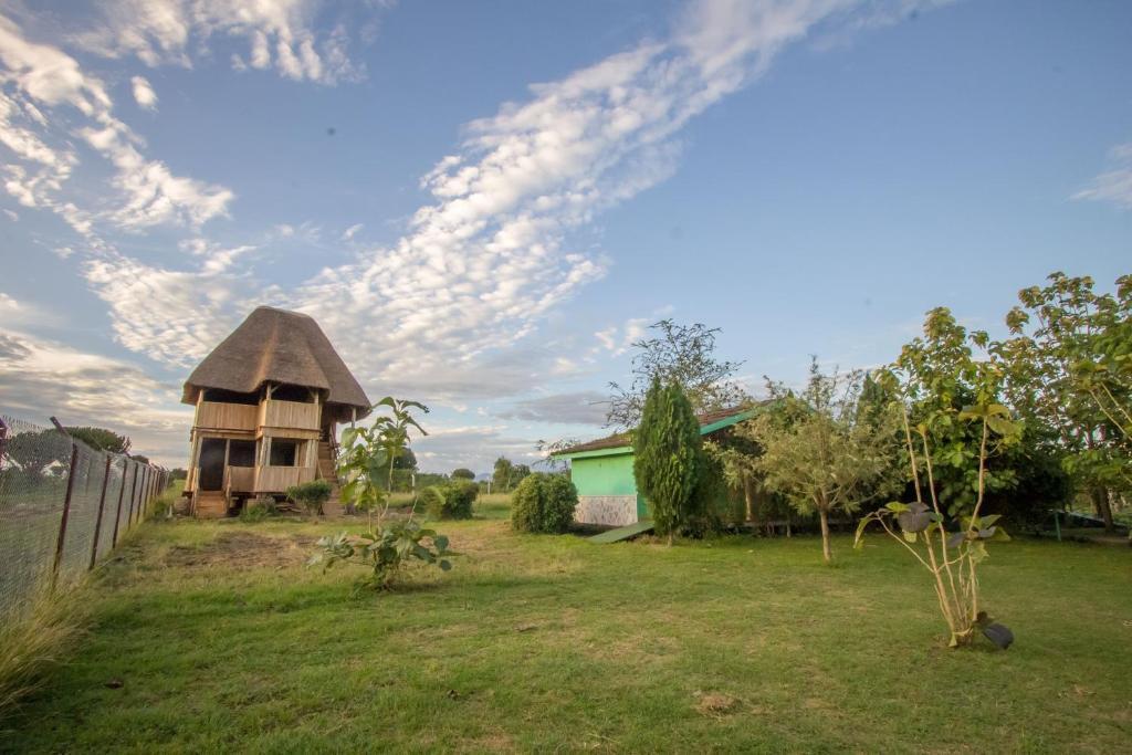 Image 10