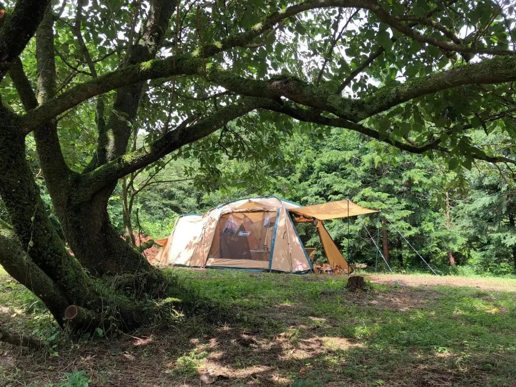 FWA Guest House