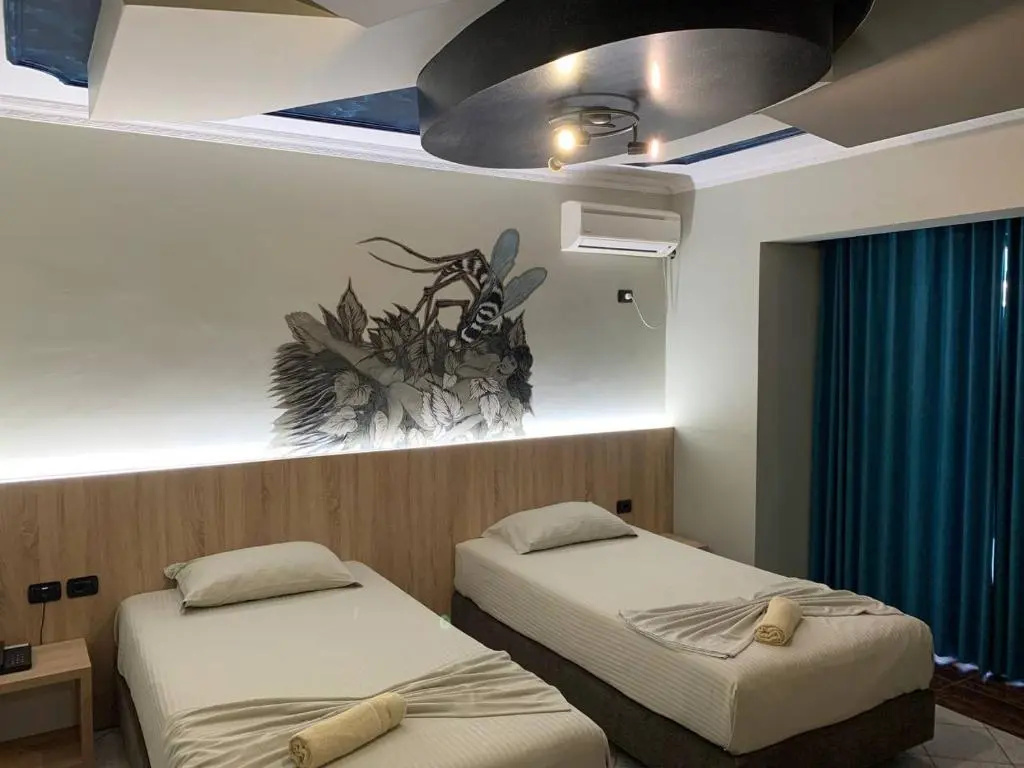 Standard Double room (full double bed)