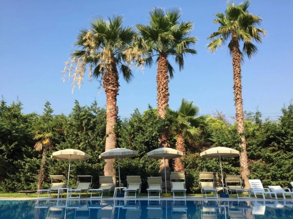 Sea Palace Hotel - Général