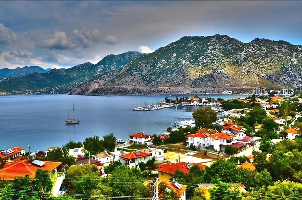 Beach & Waterfront