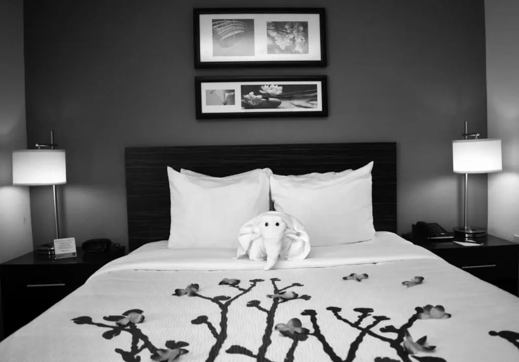Wingate by Wyndham Salisbury MD Airport North - Chambres
