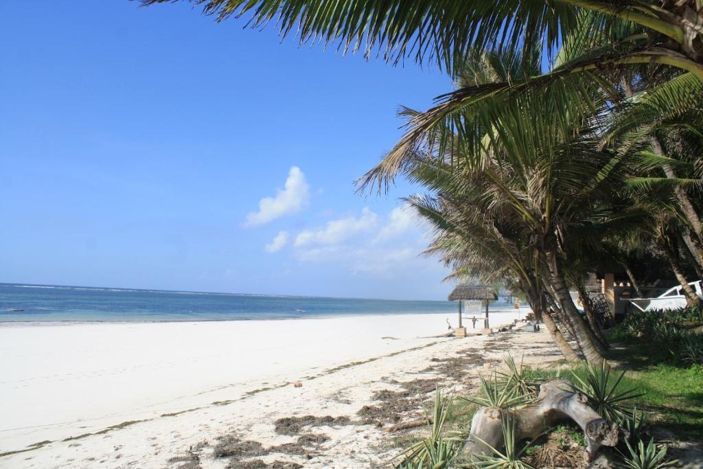 Diani Marine Divers Village — 3