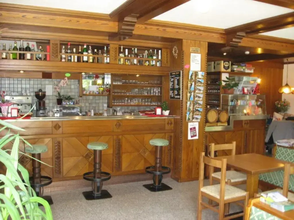 Hotel Bucaneve - Général