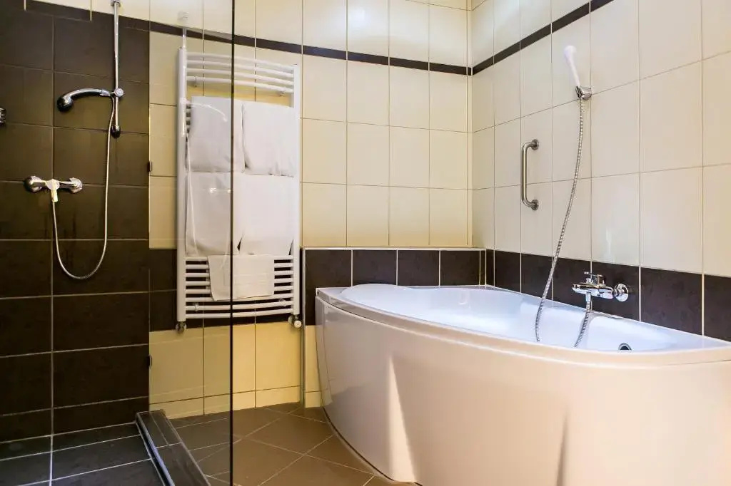 Ambient Hotel & Aroma Spa - фото 6