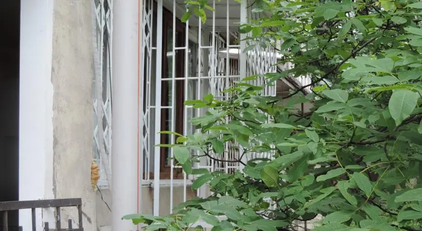 Guest House Dolidze