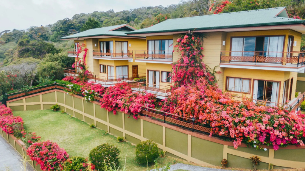 Ficus Sunset Suites - Général