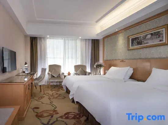 Vienna Hotel Yueyang Huarong Avenue Branch - Chambres