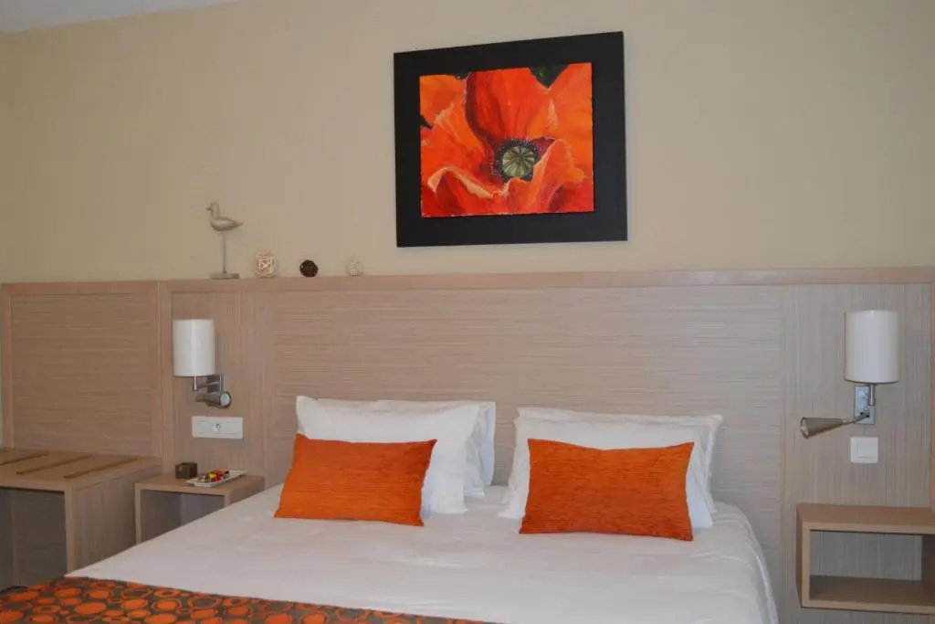 Standard Double room (full double bed)