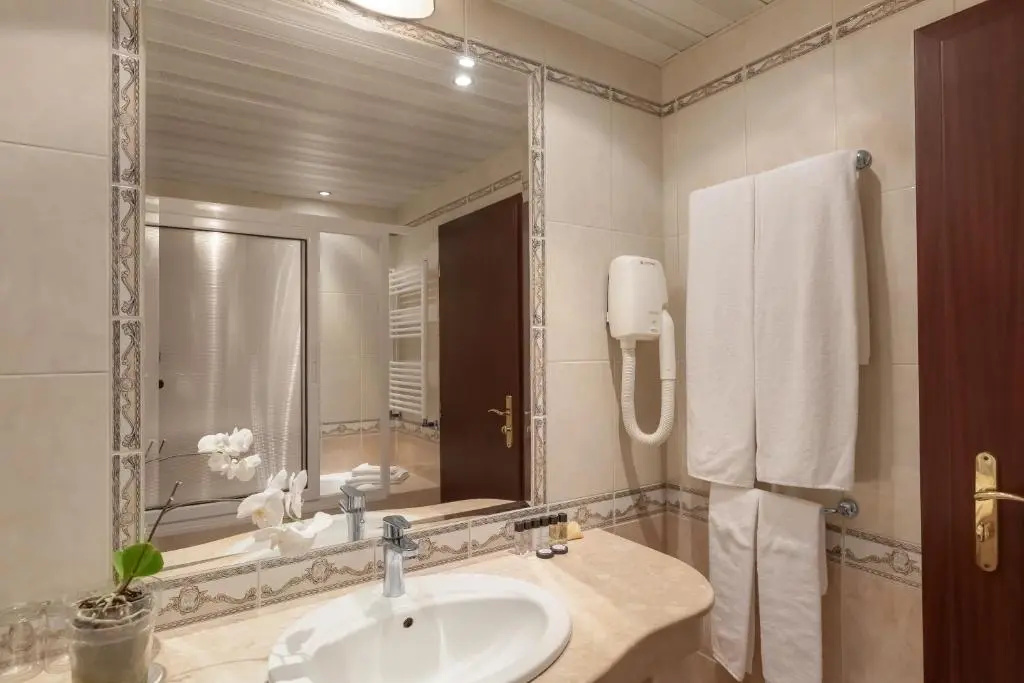 Standard Double room (twin beds)