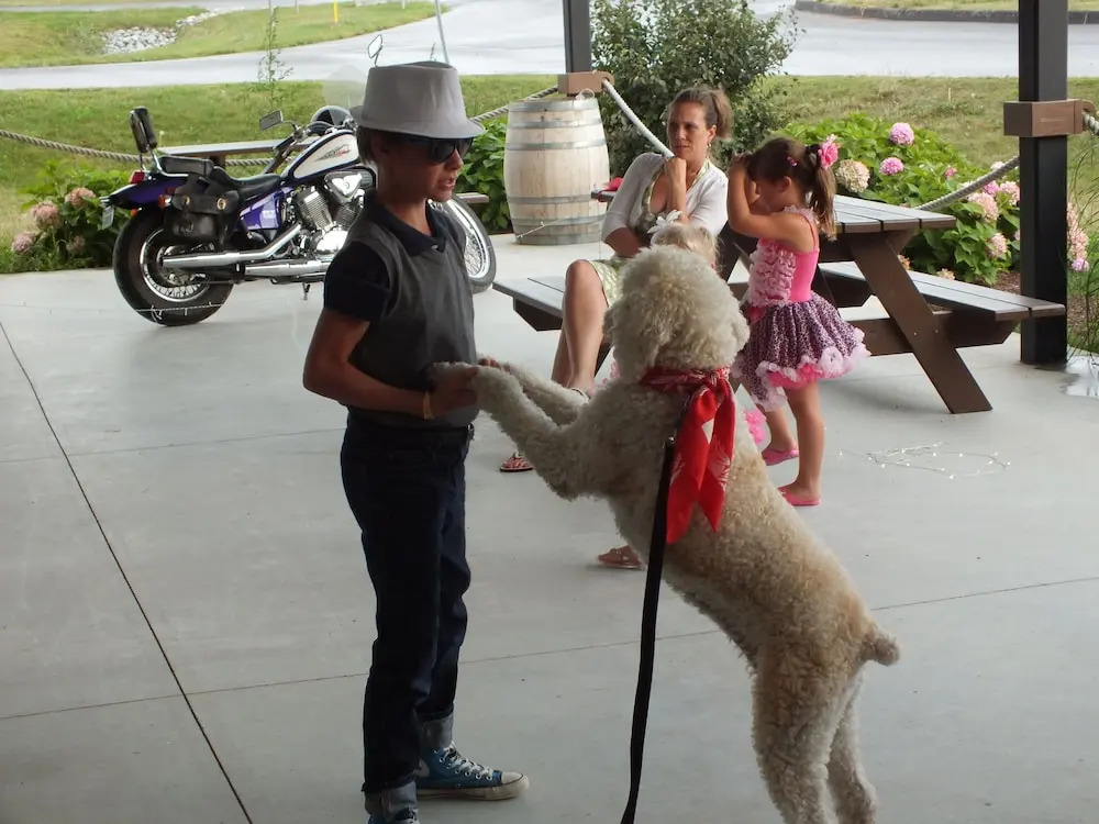 Sandbanks Summer Village