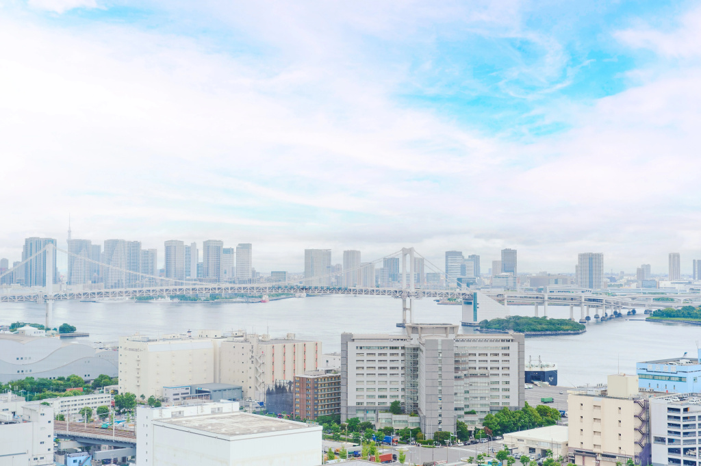Dai-Ichi Hotel Tokyo Seafort 사진 46