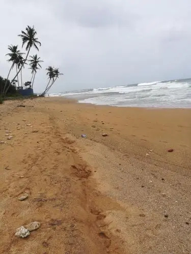 Beach & Waterfront
