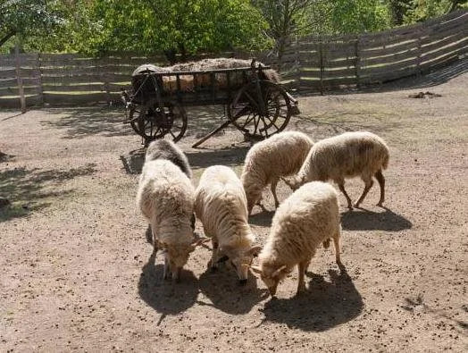 Páratlan Apartmanház - фото 14