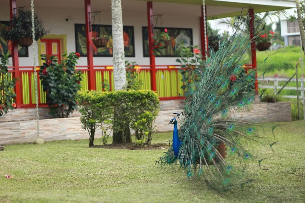 Bamboo Hotel Boutique