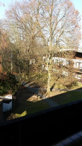 Balcony & Terrace