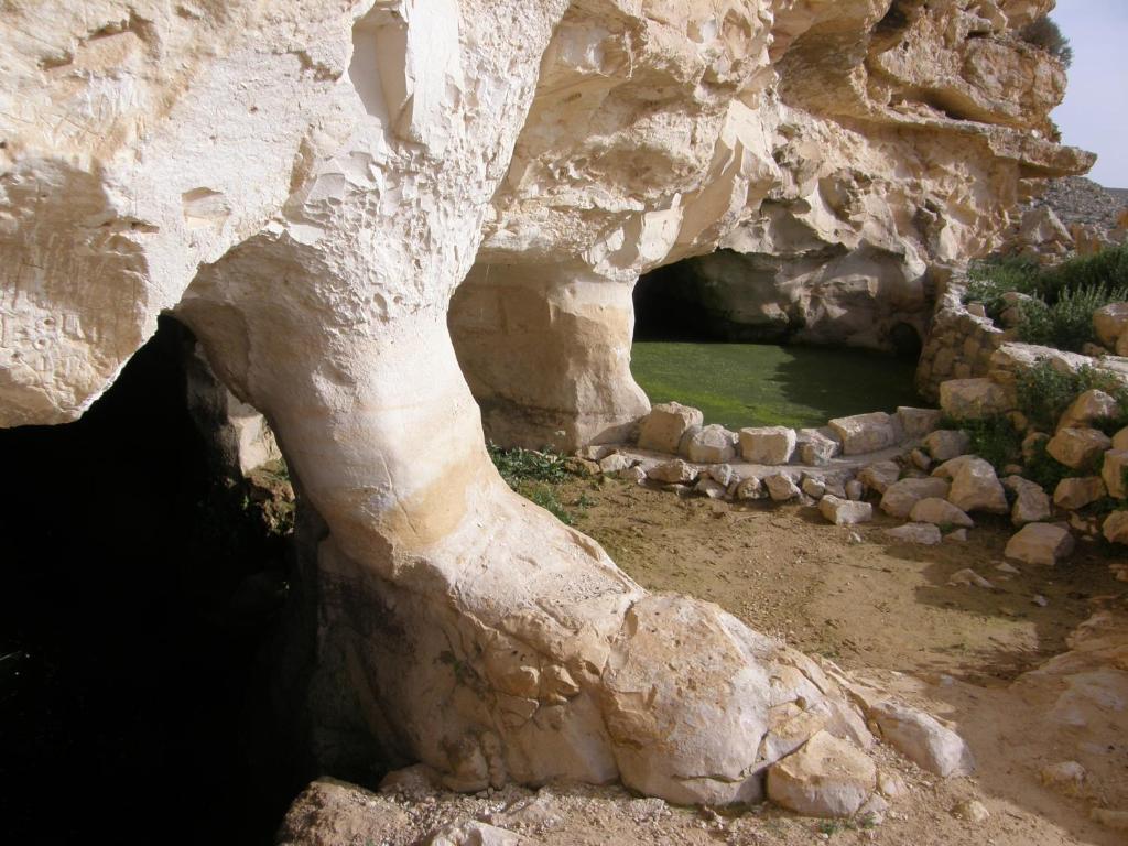 Image 10