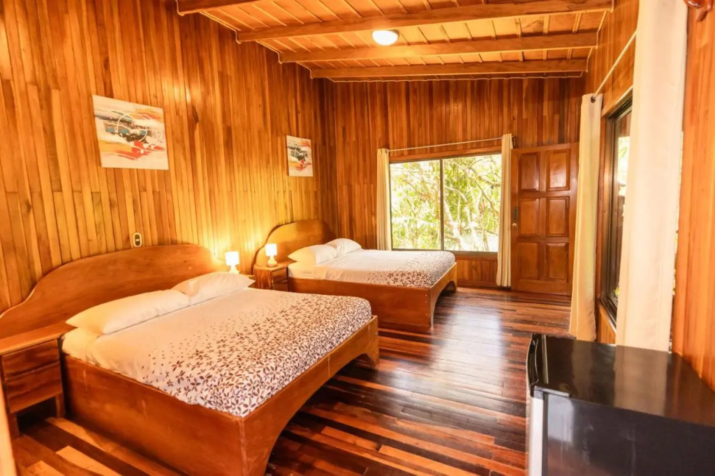 Jaguarundi Lodge - Général