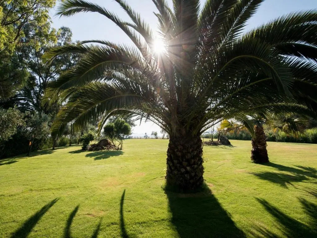 Tiamo Secrets - Palm Garden - Chambres