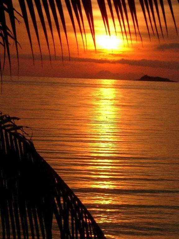 Beach & Waterfront