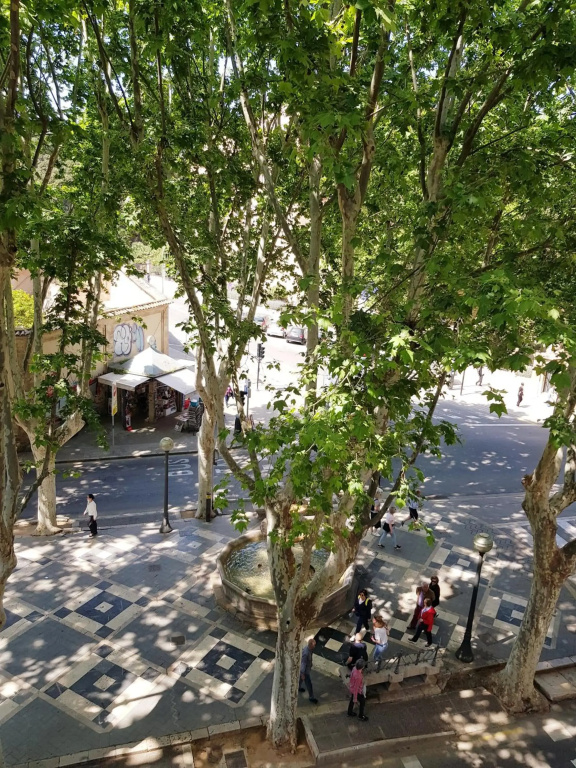 Palma center house