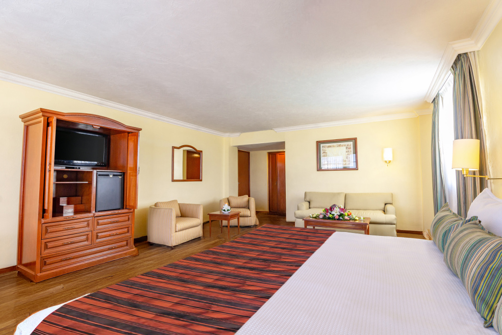 Francia Aguascalientes - Général