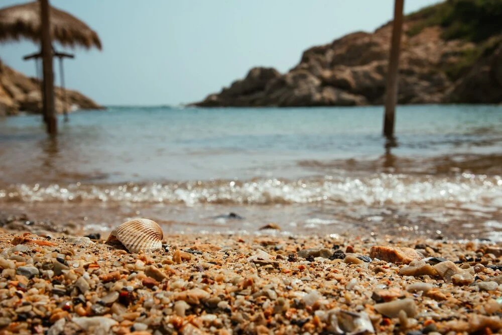 Beach & Waterfront