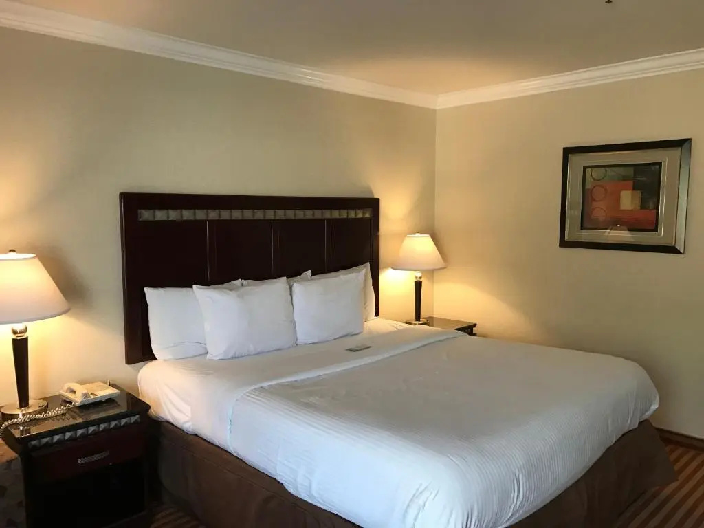 Deluxe Double room (full double bed)