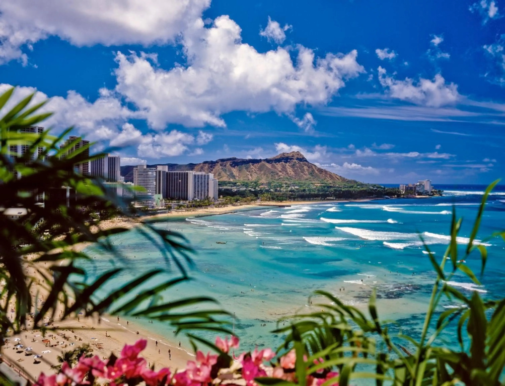 17th Floor Condo with Ocean Views, Parking, WiFi - Close to Beach