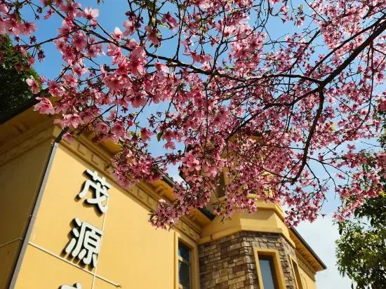 Maoyuan Villa