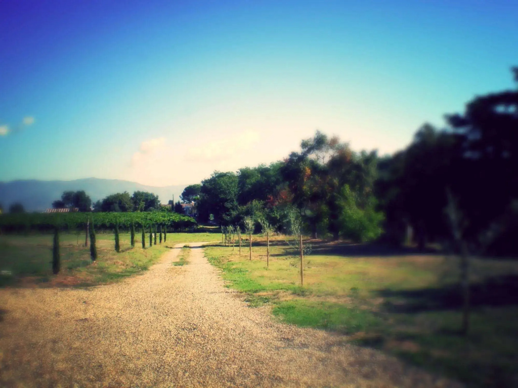 Podere le Spighe