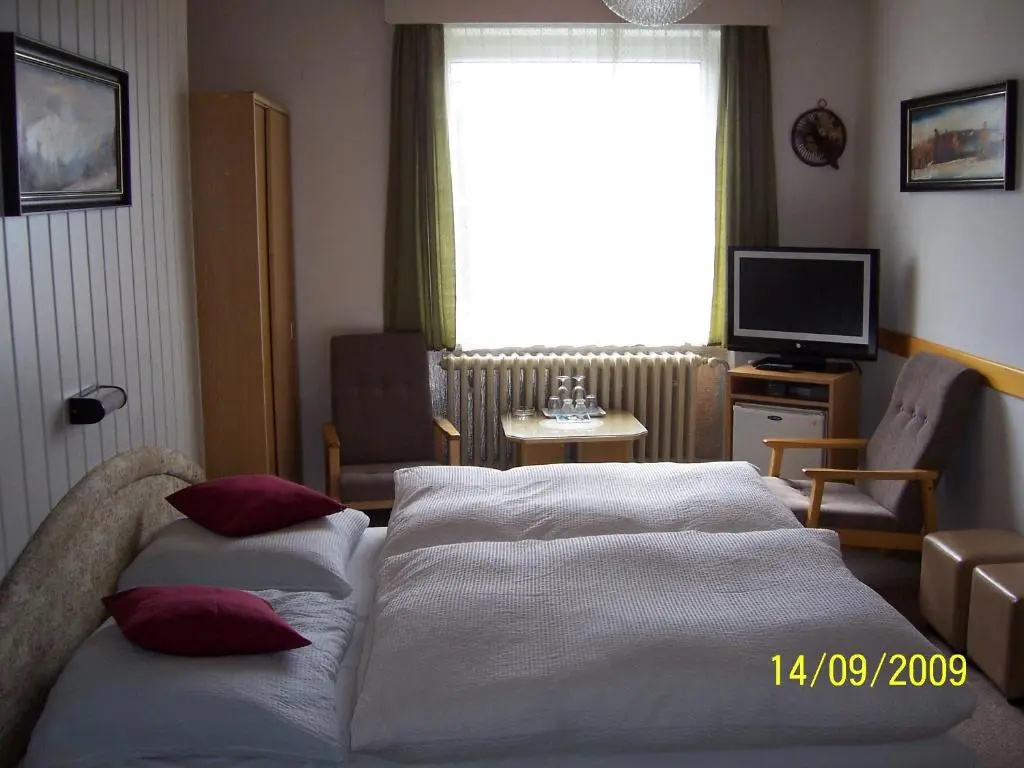 Standard Double room with mountain view (full double bed)