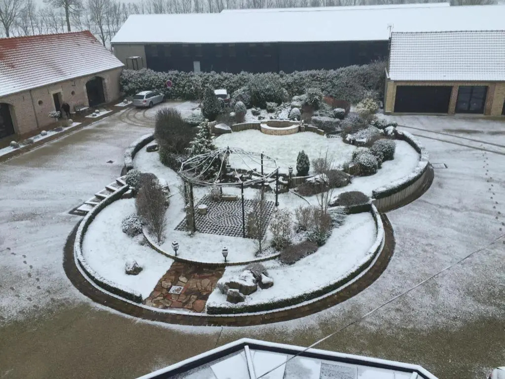 Au grand saule