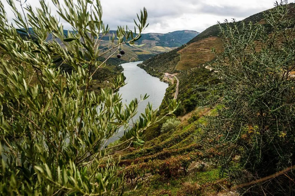 Casas da Quinta de Merouco