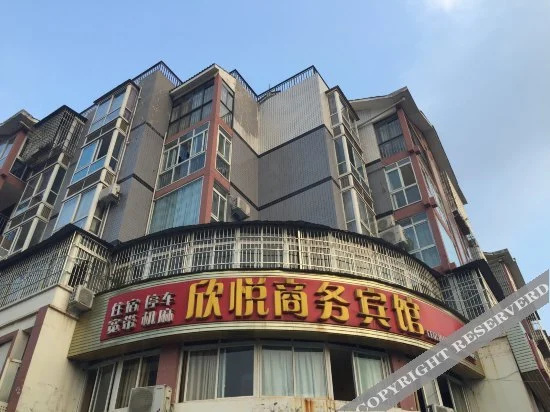 Xinyue Business Hotel - фото 4