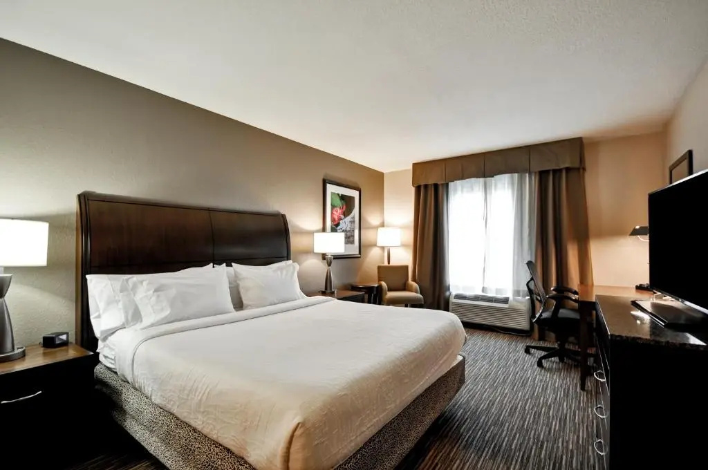 Hilton Garden Inn Tampa North Busch Gardens - Chambres