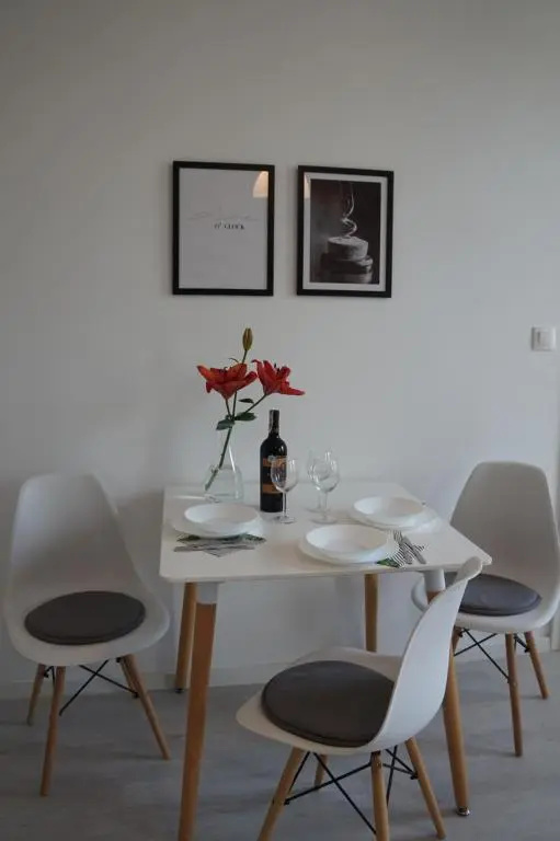 Apartament Gliwice Centrum Witkiewicza I