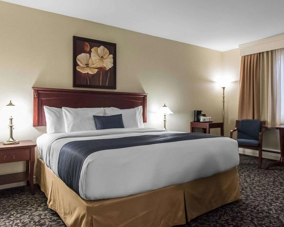 Quality Inn Mont-Laurier - Chambres