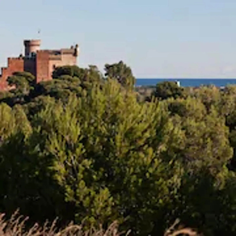 Gran Hotel Rey Don Jaime - Général