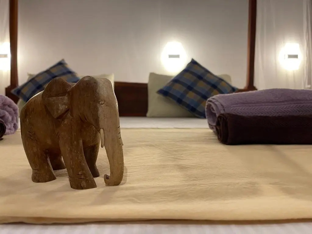 Mango Tree House - Chambres