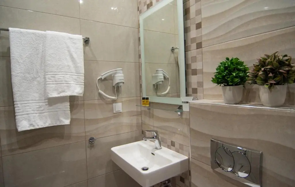Deluxe Double room (full double bed)