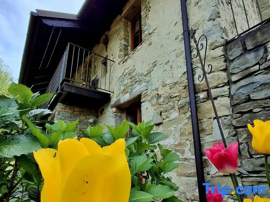 Charming Historic House in Provincia di Cuneo, Italia