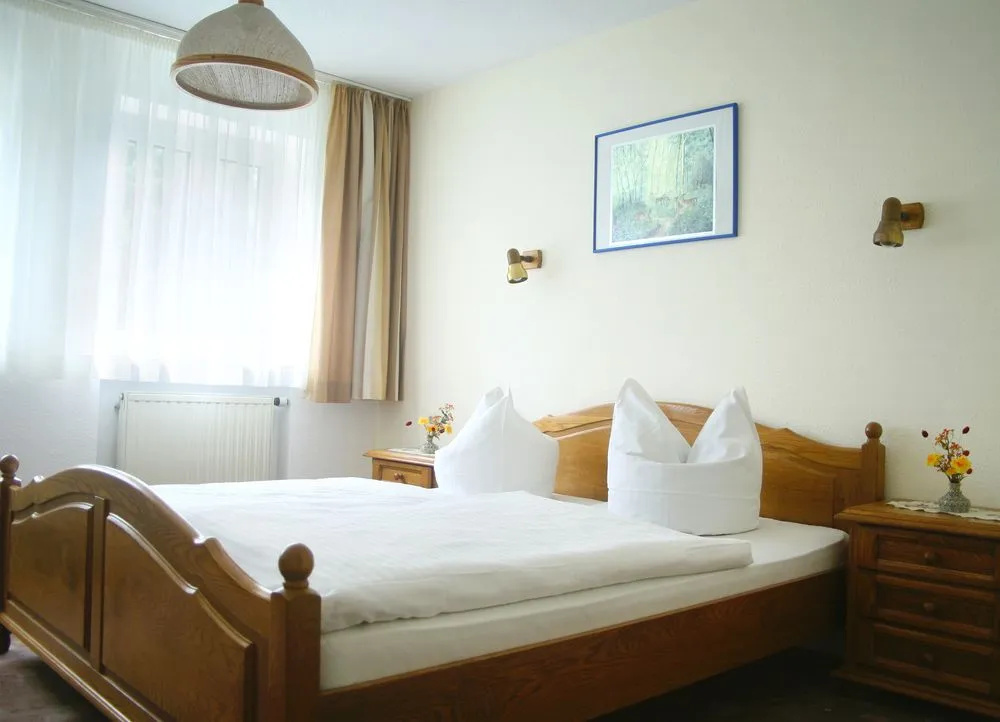 Hotel Bad Schmiedeberger Hof - Général