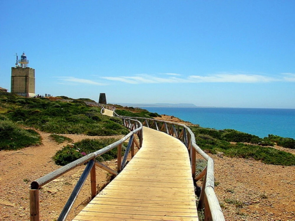 104959 - House in Conil de la Frontera