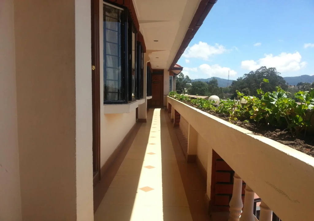 Balcony & Terrace