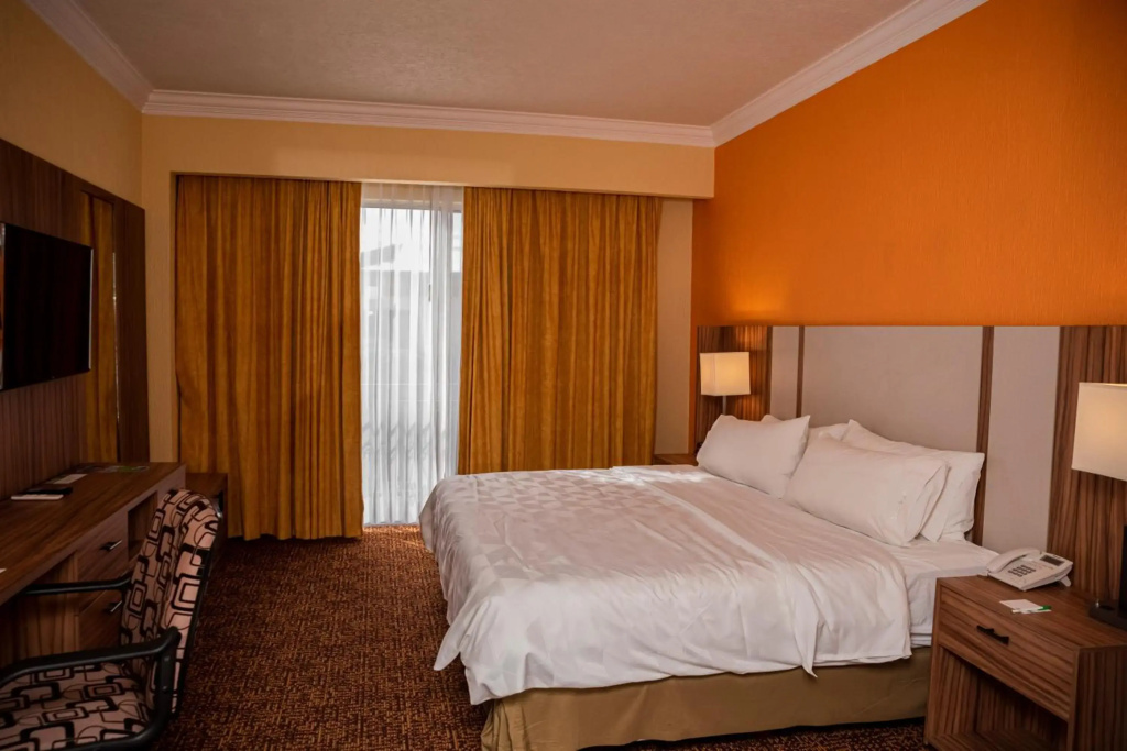 Holiday Inn La Piedad by IHG - Général